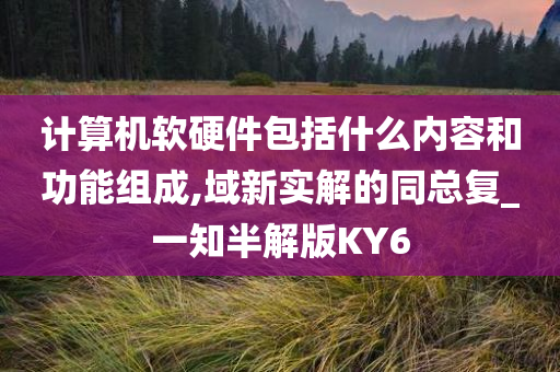 计算机软硬件包括什么内容和功能组成,域新实解的同总复_一知半解版KY6
