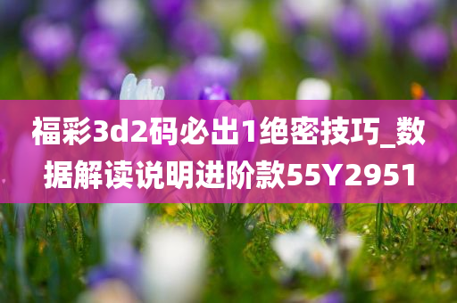 福彩3d2码必出1绝密技巧_数据解读说明进阶款55Y2951
