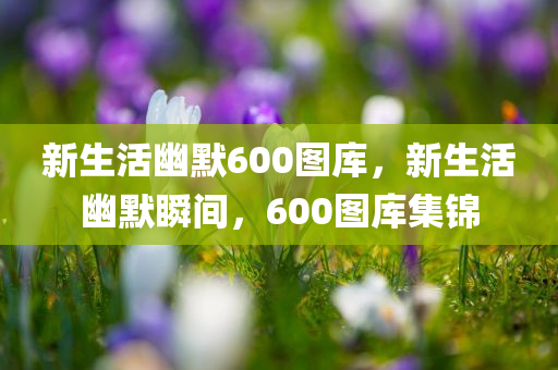 新生活幽默600图库，新生活幽默瞬间，600图库集锦