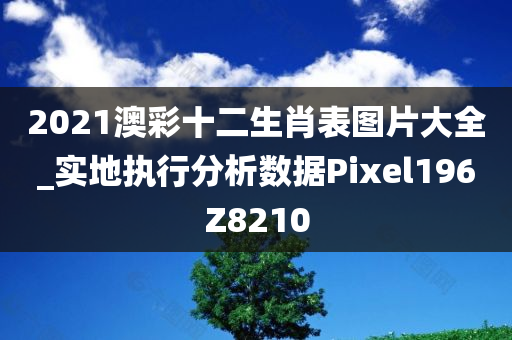 2021澳彩十二生肖表图片大全_实地执行分析数据Pixel196Z8210