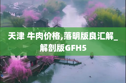 天津 牛肉价格,落明版良汇解_解剖版GFH5