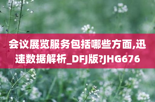 会议展览服务包括哪些方面,迅速数据解析_DFJ版?JHG676