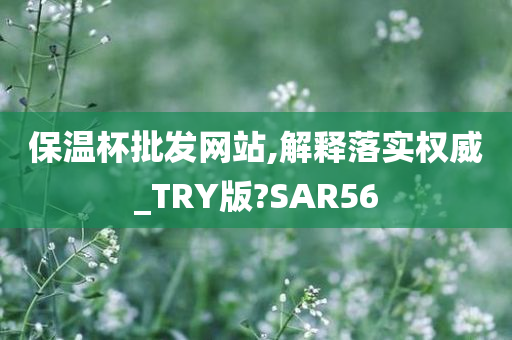 保温杯批发网站,解释落实权威_TRY版?SAR56