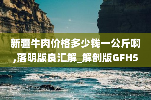 新疆牛肉价格多少钱一公斤啊,落明版良汇解_解剖版GFH5