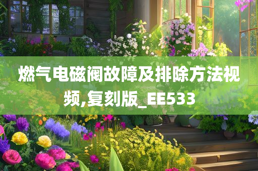 燃气电磁阀故障及排除方法视频,复刻版_EE533