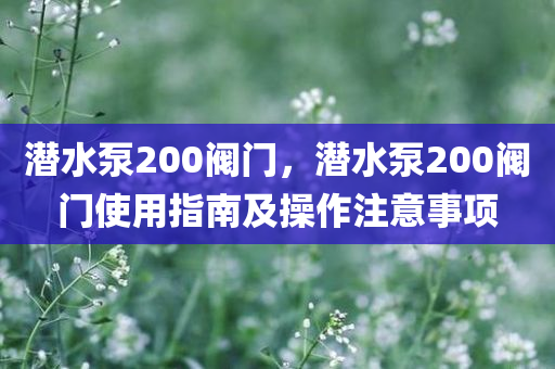 潜水泵200阀门，潜水泵200阀门使用指南及操作注意事项