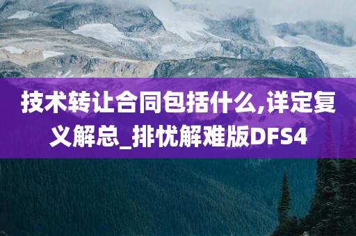 技术转让合同包括什么,详定复义解总_排忧解难版DFS4