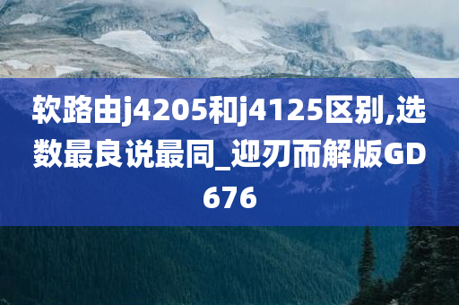 软路由j4205和j4125区别,选数最良说最同_迎刃而解版GD676