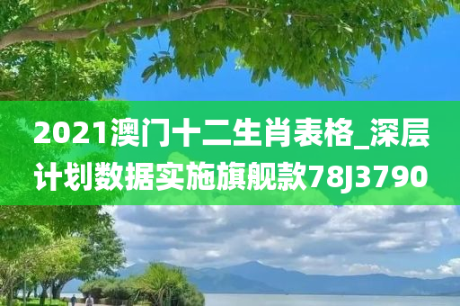 2021澳门十二生肖表格_深层计划数据实施旗舰款78J3790