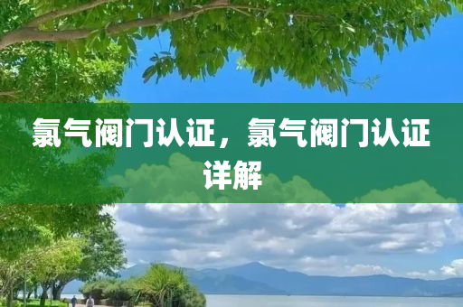 氯气阀门认证，氯气阀门认证详解