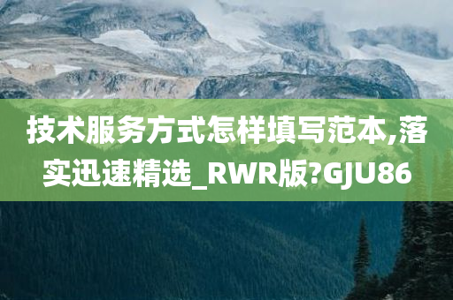 技术服务方式怎样填写范本,落实迅速精选_RWR版?GJU86