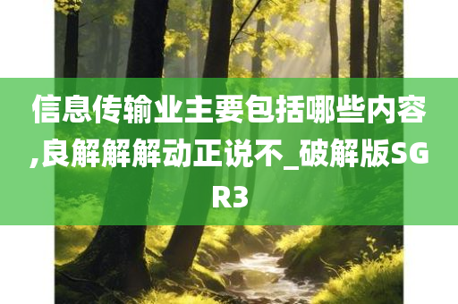 信息传输业主要包括哪些内容,良解解解动正说不_破解版SGR3