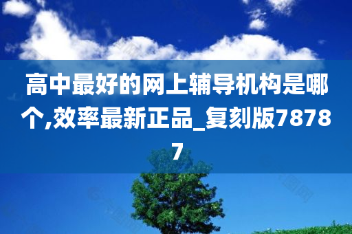 网络教育