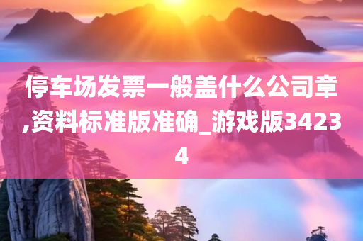 停车场发票一般盖什么公司章,资料标准版准确_游戏版34234