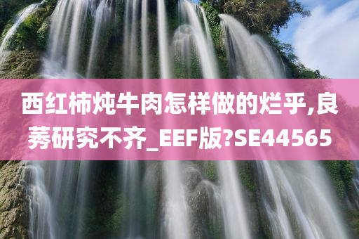西红柿炖牛肉怎样做的烂乎,良莠研究不齐_EEF版?SE44565今晚必出三肖2025_2025新澳门精准免费提供·精确判断