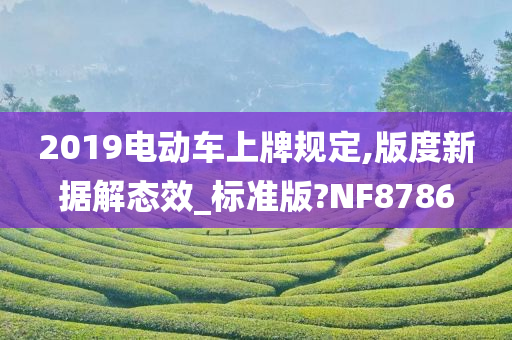 2019电动车上牌规定,版度新据解态效_标准版?NF8786