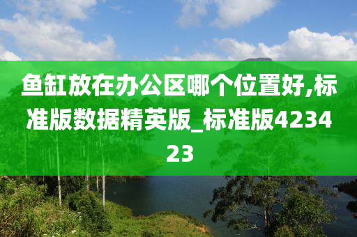 鱼缸放在办公区哪个位置好,标准版数据精英版_标准版423423