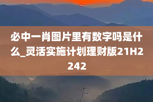 必中一肖图片里有数字吗是什么_灵活实施计划理财版21H2242