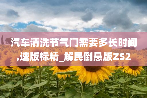 汽车清洗节气门需要多长时间,速版标精_解民倒悬版ZS2