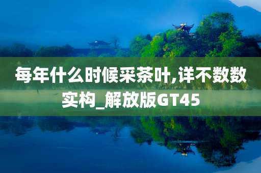GT45 第15页