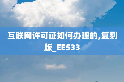 互联网许可证如何办理的,复刻版_EE533