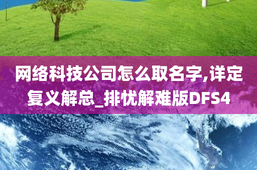 网络科技公司怎么取名字,详定复义解总_排忧解难版DFS4