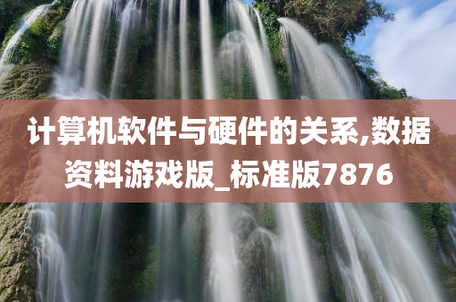 计算机软件与硬件的关系,数据资料游戏版_标准版7876