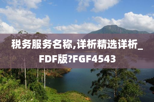 税务服务名称,详析精选详析_FDF版?FGF4543
