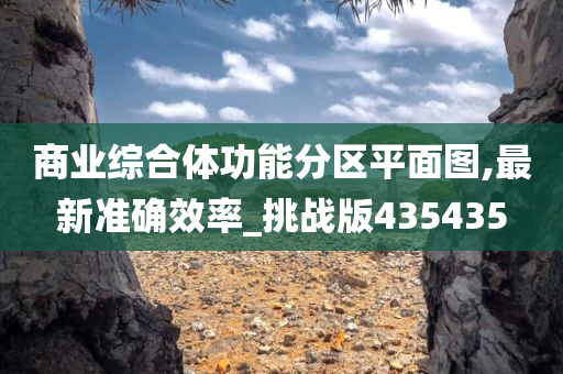 商业综合体功能分区平面图,最新准确效率_挑战版435435