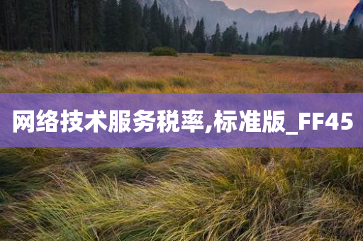 网络技术服务税率,标准版_FF45