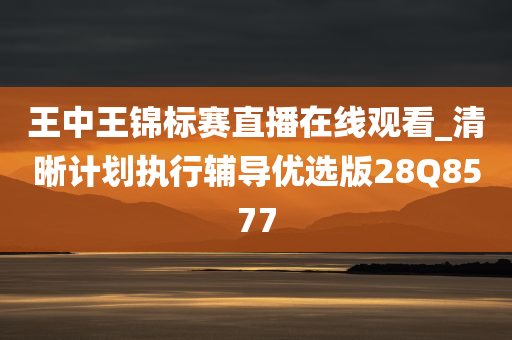 王中王锦标赛直播在线观看_清晰计划执行辅导优选版28Q8577