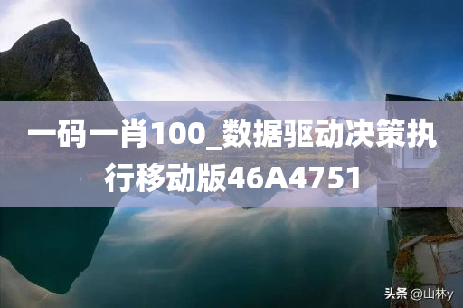 一码一肖100_数据驱动决策执行移动版46A4751