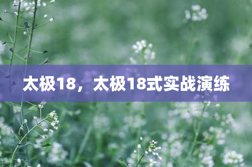 太极18，太极18式实战演练