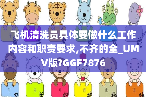 飞机清洗员