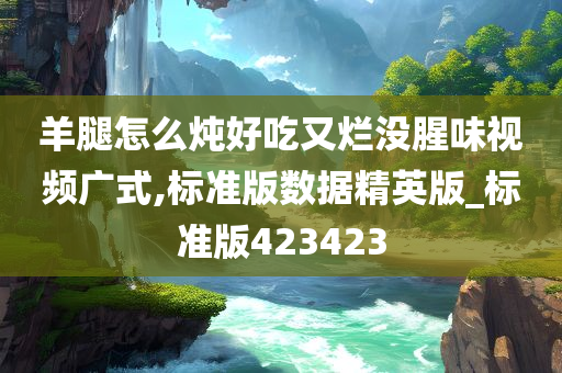 羊腿怎么炖好吃又烂没腥味视频广式,标准版数据精英版_标准版423423