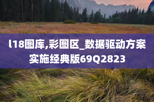 l18图库,彩图区_数据驱动方案实施经典版69Q2823