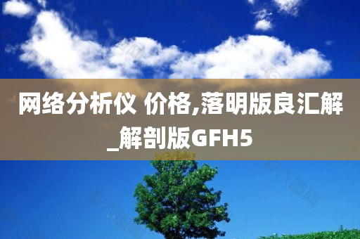 网络分析仪 价格,落明版良汇解_解剖版GFH5