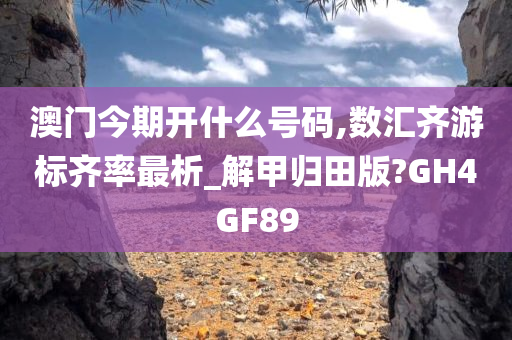 澳门今期开什么号码,数今晚必出三肖2025_2025新澳门精准免费提供·精确判断汇齐游标齐率最析_解甲归田版?GH4GF89