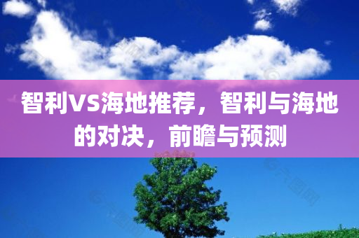 智利VS海地推荐，智利与海地的对决，前瞻与预测