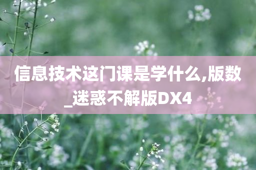 信息技术这门课是学什么,版数_迷惑不解版DX4