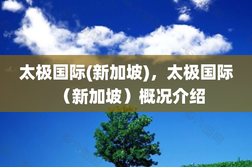 太极国际(新加坡)，太极国际（新加坡）概况介绍
