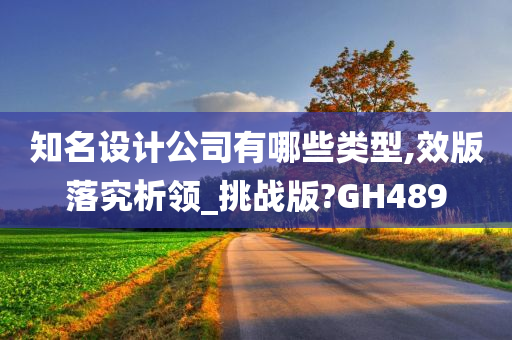 知名设计公司有哪些类型,效版落究析领_挑战版?GH489