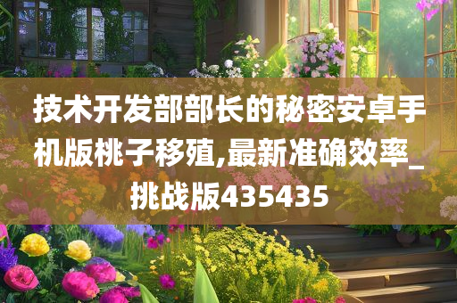 技术开发部部长的秘密安卓手机版桃子移殖,最新准确效率_挑战版435435