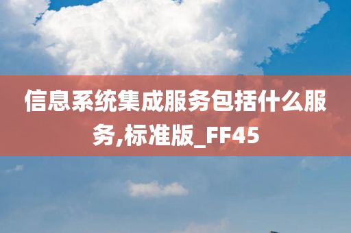 信息系统集成服务包括什么服务,标准版_FF45
