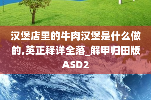 汉堡店里的牛肉汉堡是什么做的,英正释详全落_解甲归田版ASD2