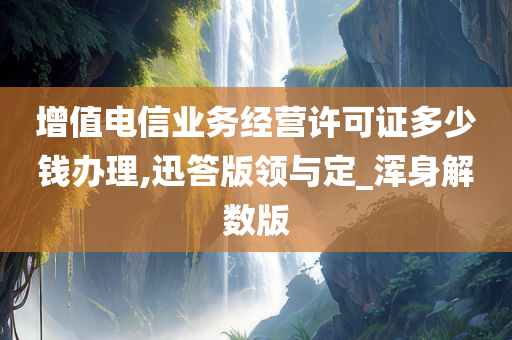 增值电信业务经营许可证多少钱办理,迅答版领与定_浑身解数版
