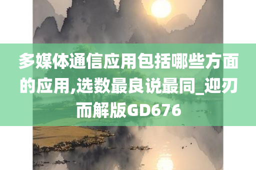 多媒体通信应用