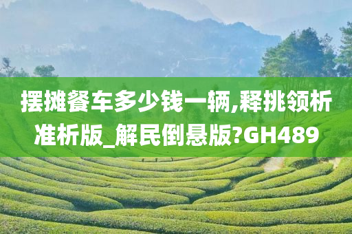 摆摊餐车多少钱一辆,释挑领析准析版_解民倒悬版?GH489