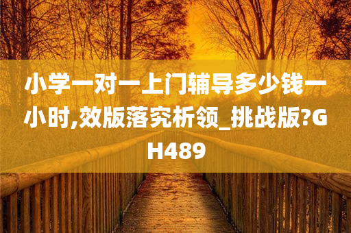 小学一对一上门辅导多少钱一小时,效版落究析领_挑战版?GH489今晚必出三肖2025_2025新澳门精准免费提供·精确判断