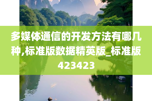 多媒体通信的开发方法有哪几种,标准版数据精英版_标准版423423